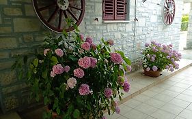 Apartman Sunce