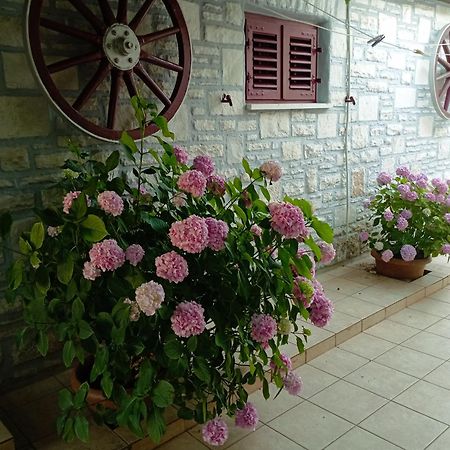 Apartman Sunce Umago Esterno foto