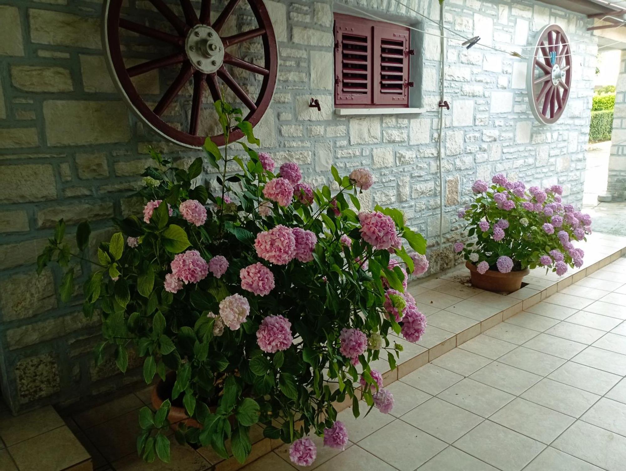 Apartman Sunce Umago Esterno foto